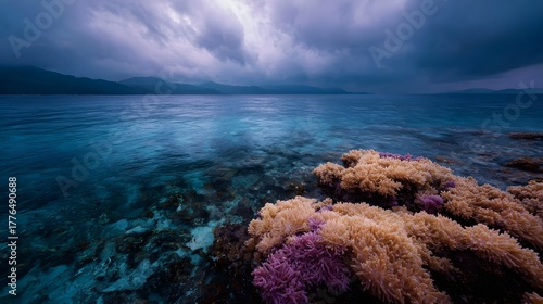 Fototapeta Naklejka Na Ścianę i Meble -  A vibrant coral reef with colorful anemones beneath a dramatic stormy sky over the ocean