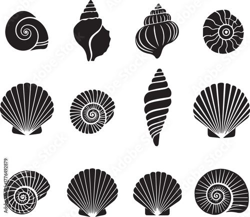 Grid of Black Seashell and Nautilus Silhouettes on White Background