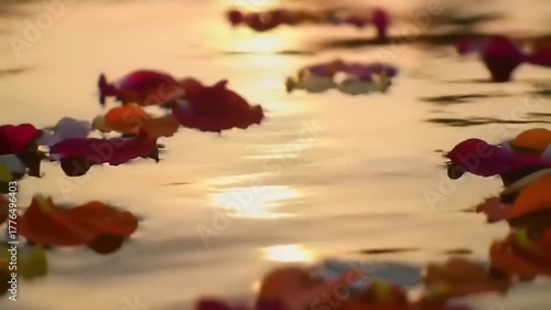 Colorful floating toys on water at sunset.