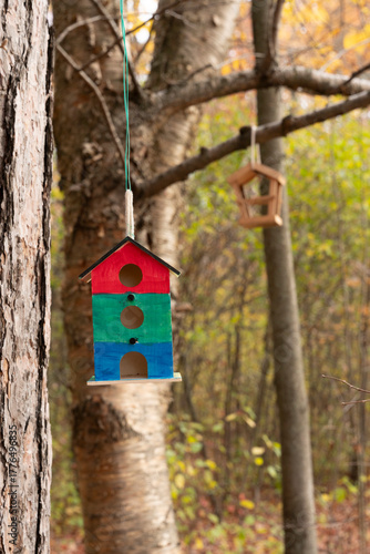 birdhouse on a tree