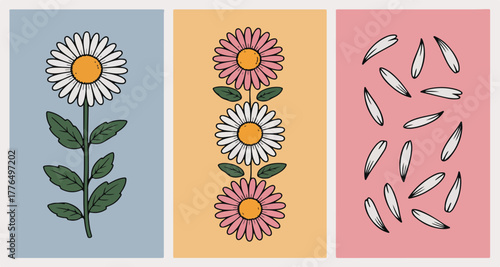 Daisy Flower Set, Floral Illustrations | Botanical Design Elements for Spring, Summer, and Feminine Themes