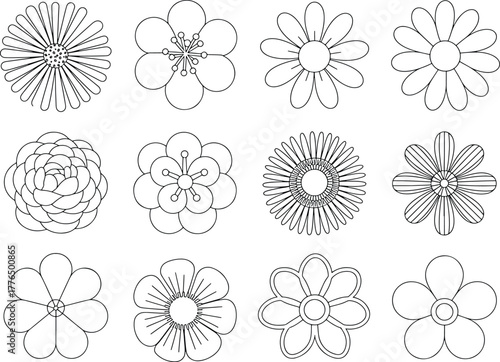 Various line art flower icons in a vector botanical pattern