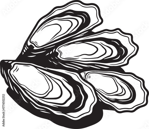 Black and White Illustration of Four Oysters shellfish