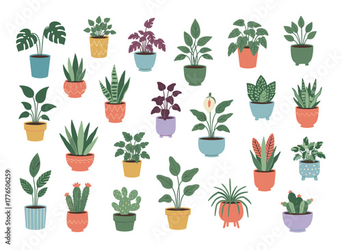 A flat, colorful vector illustration showcasing a bundle of trendy houseplants in pots or planters, set against a white background as a collection of decorative natural home decorations