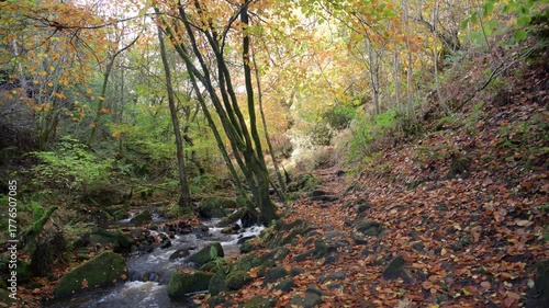 Small waterfall cascades running through a moss covered rocky ravine during autumn at Wyming Brook Nature Reserve in the Derbyshire, Peak District National Park.