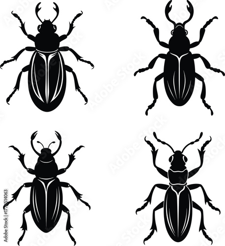 Weevil silhouette vector illustration
