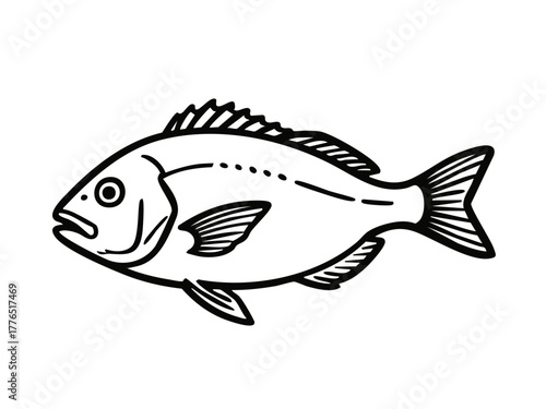 Simple illustration of sea bream. Simple. Seafood. Premium fish. Monochrome.