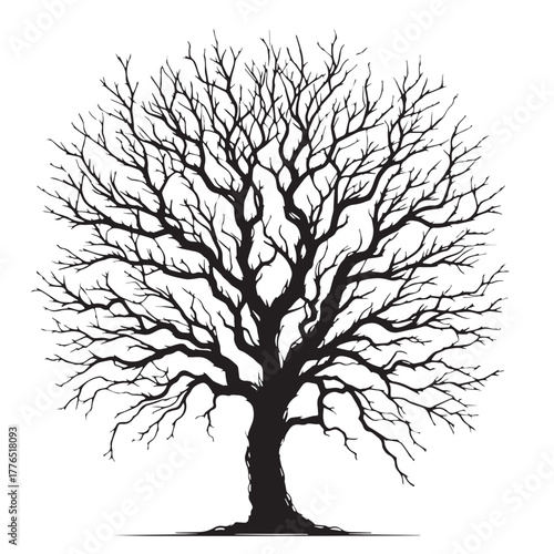 Black Bare winter tree Silhouette Vector, High Quality Illustration on White Background