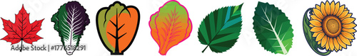 Colorful Leaves Sunflower Vector Collection Maple Cabbage Leaf Set
