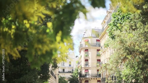 Spring in Paris, blooming tree branch with young leaves