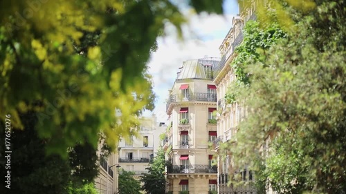 Spring in Paris, blooming tree branch with young leaves