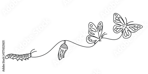 Simple continuous line drawing of life cycle of a butterfly