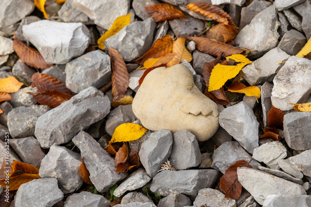 Obraz premium Yellow and brown autumn leaves scattered on grey stones around a face shaped rock