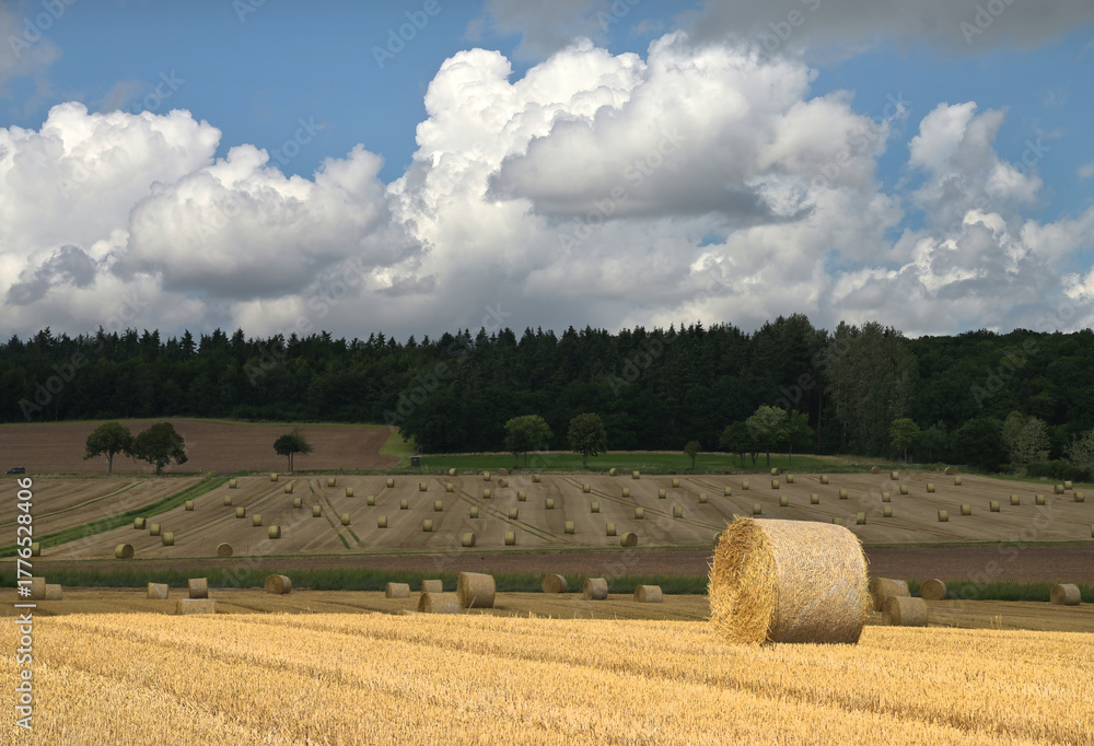 Fototapeta premium Landwirtschaft