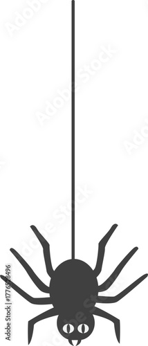 거미줄에 메달려 있는 거미