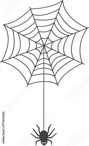 거미줄에 메달려 있는 거미