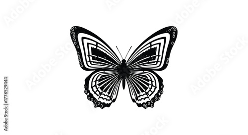 Intricate black and white butterfly with optical illusion wing patterns on a white background