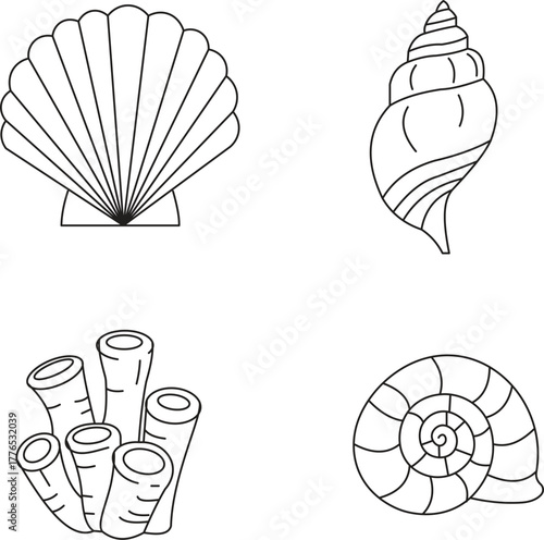 Line Art Collection of Marine Life: Scallop Shell, Whelk, Coral Tubes, and Nautilus Spiral