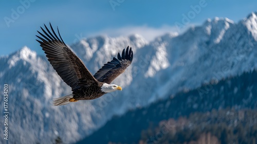 Majestätischer Adler fliegt vor schneebedeckten Bergen
