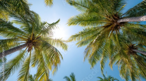 Wallpaper Mural Sun peeking through tropical palm tree leaves against a clear blue sky. Summer vacation and holiday travel concept for background. Torontodigital.ca