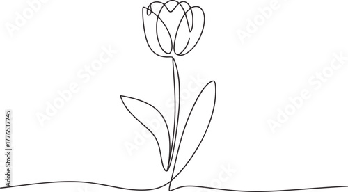 Minimalist single line drawing of a tulip flower plant
