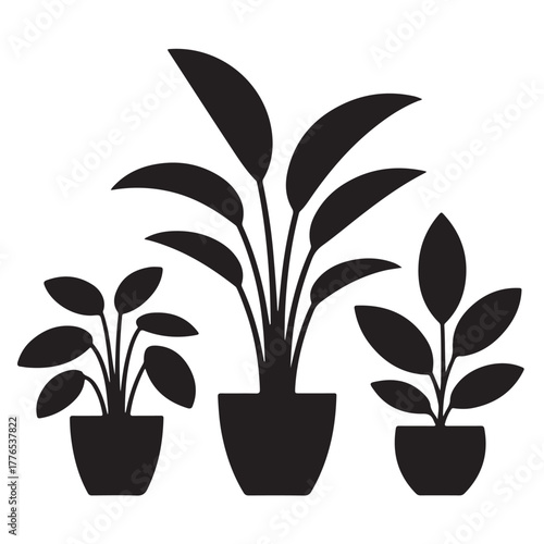 Three potted plants in a row, a simple and elegant design isolated on white background for various creative projects