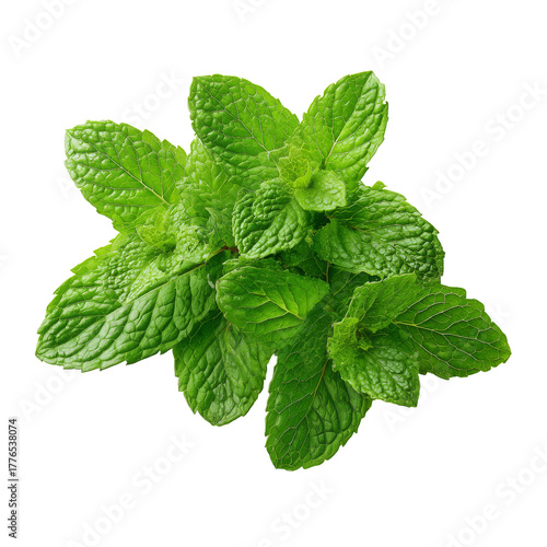 Fresh Mint Leaves With Green Powder on a White Background Showcasing Natural ...