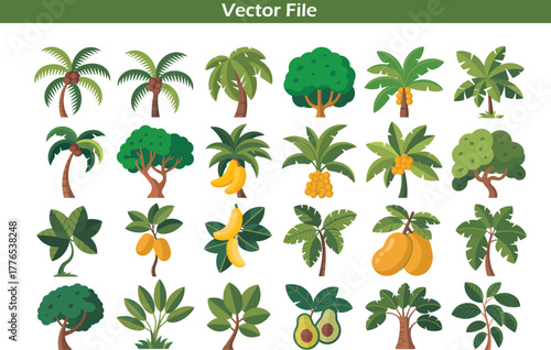 Collection of Tropical Fruit Trees and Palm Trees banana tree