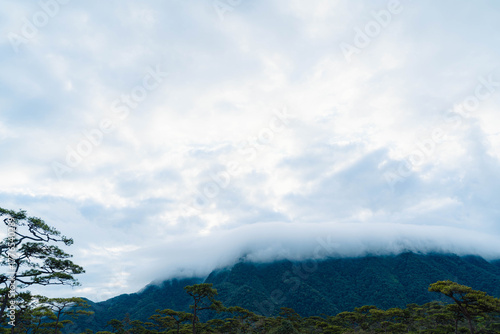 Clouds Draping Over Phu Soi Dao Mountain, Thailand