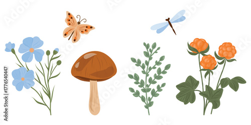 Hand drawn Forest set. Falx, mushroom, twig, cloudberry, butterfly. Nature elements