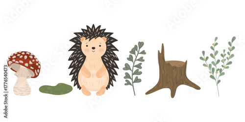 Hand drawn Forest clipart. Hedgehog, stump, fly agaric, twigs. Nature elements