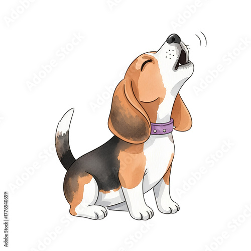 Beagle dog howling with a collar on white background  