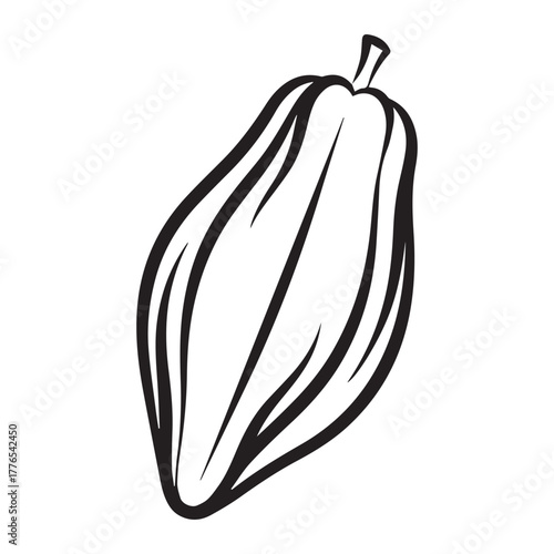 cacao vector illustration