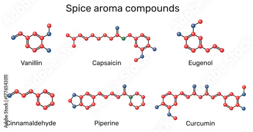 Spice aroma compounds molecule. Chemical structures of vanillin, cinnamaldehyde, eugenol, curcumin, piperine and capsaicin. Molecular model. Vector Illustration