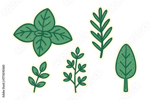 Fresh green culinary herbs and spices assortment including basil, rosemary, and thyme