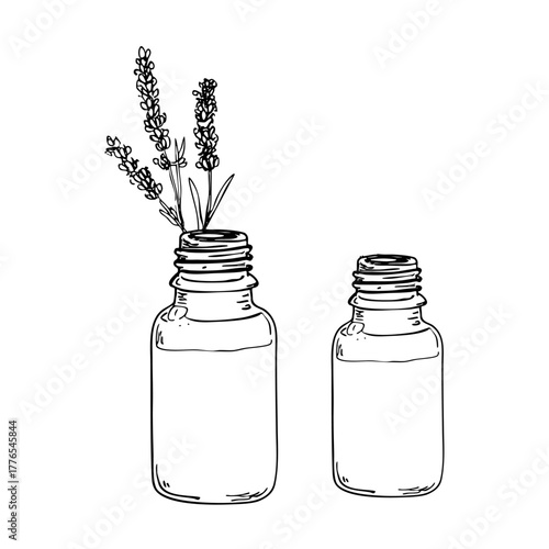 Lavender essential oil bottles sketch. Natural plant extract for aromatherapy and wellness. Two different sizes, herbal liquid.