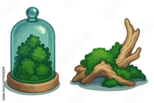Stylized natural composition featuring a plant under a glass cloche and mossy driftwood