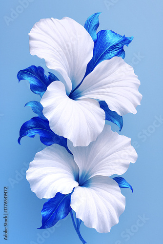 White hibiscus flowers with blue accents on gradient light blue background – elegant vertical floral wallpaper for phone or digital design