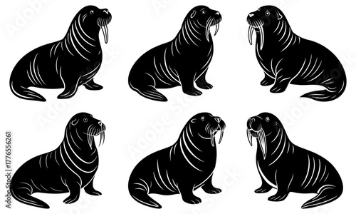 Majestic walrus collection, powerful sea mammal icons for conservation projects, wildlife education, and arctic themed designs, nature's gentle giants