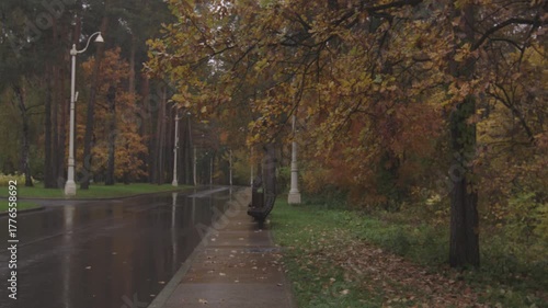 Wallpaper Mural Beautiful rainy day in autumn, fallen leaves on the ground and yellow trees Torontodigital.ca