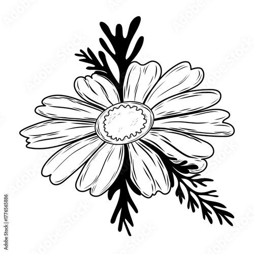 Hand-drawn line art vector of a chamomile flower with leaves on a white background. Minimalist black outline icon,perfect for organic cosmetic logos,herbal tea packaging,and natural product branding.