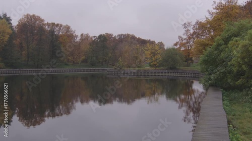 Wallpaper Mural Fallen yellow leaves and ducks in the pond in public park in autumn Torontodigital.ca