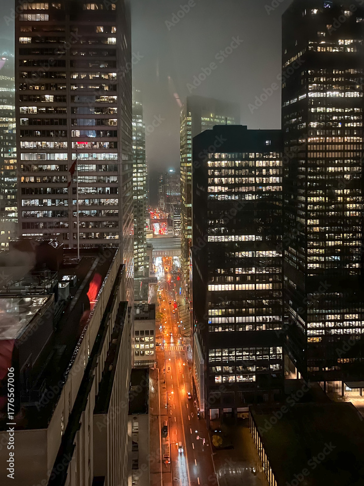 Fototapeta premium The city of Toronto as seen at night, Ontario, Canada.