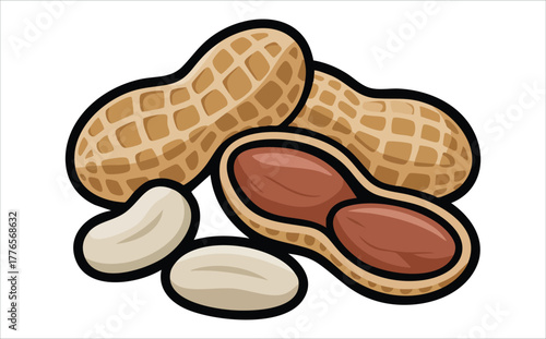 peanut variety showing shells kernels and halves vector art isolated on white background