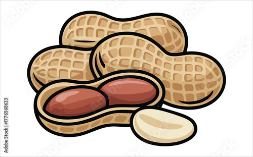 peanut variety showing shells kernels and halves vector art isolated on white background