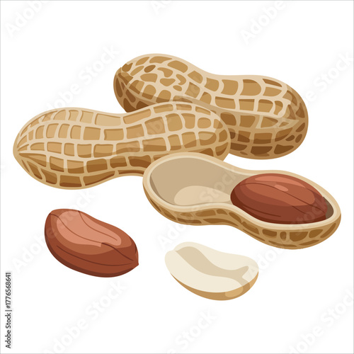 peanut variety showing shells kernels and halves vector art isolated on white background