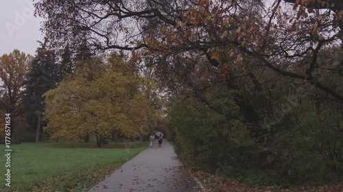 Wallpaper Mural Beautiful rainy day in autumn, fallen leaves on the ground and yellow trees Torontodigital.ca
