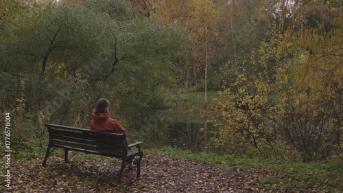 Wallpaper Mural Fallen yellow leaves and ducks in the pond in public park in autumn Torontodigital.ca