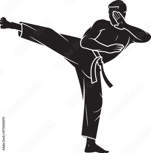 Dedicated martial artist performing challenging high leg side kick combat sport action silhouette