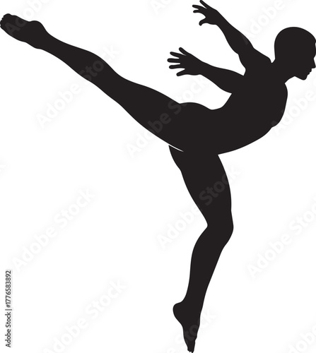 Dynamic high kick silhouette martial arts fighter athletic pose acrobatic movement sports action